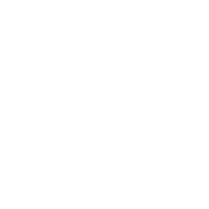 Lucid Holdings